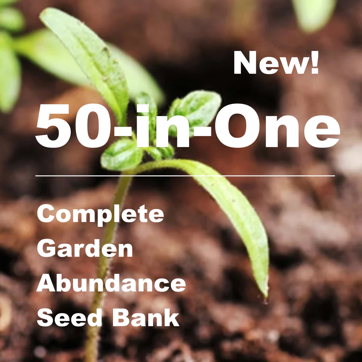 *New!* 50-in-One Complete Garden Abundance Seed Bank w/Seed Storage Vault
