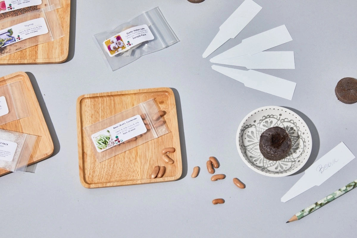 *NEW* Seeds-of-the-Month! | A Premium Monthly Seed Club Subscription