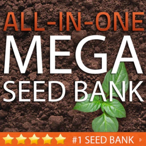 Mega Seed Bank large seed storage vault with 55 varieties and over 88,000 seeds in moisture-proof packaging