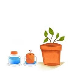 *FREE* All-in-1 'Straight Eight' Cucumber Seed Kit
