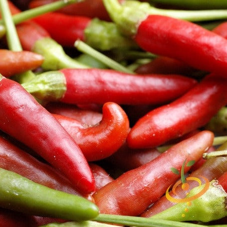 Close-up of fresh Bird's Eye Chili Peppers in red and green colors