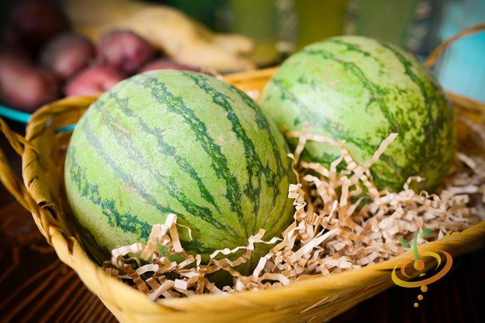 Two round watermelons in a basket with shredded paper, showcasing Sugarbaby seeds variety.