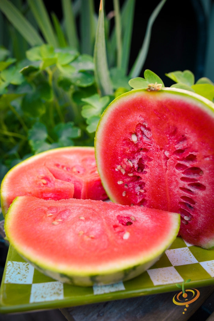 Close-up of sliced Sugarbaby watermelon with bright red flesh on a green checkered plate outdoors