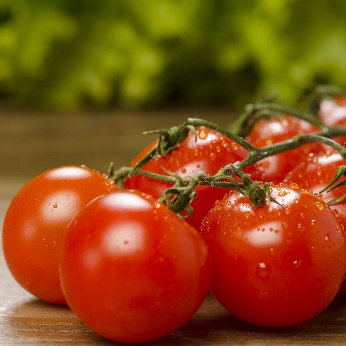 Fresh red cherry tomatoes on the vine with water droplets on a wooden surface