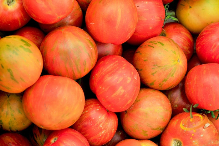 Indeterminate Tigerella tomato seeds by SeedsNow, showing vibrant striped heirloom tomato fruit and green foliage.
