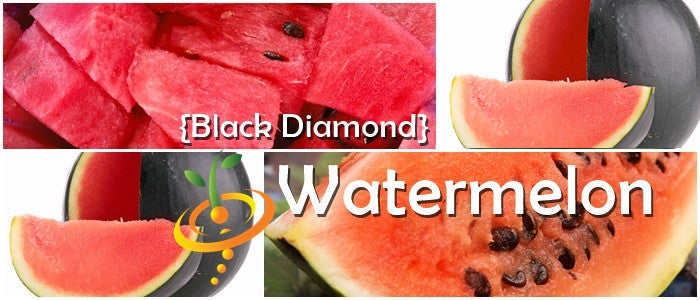 Close-up images of Watermelon Black Diamond showing dark green rind, bright red flesh, and seeds