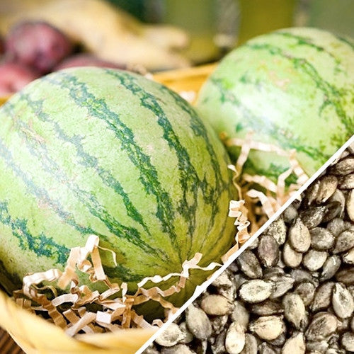 Two whole Sugarbaby watermelons with striped green skin and a close-up of watermelon seeds in a basket