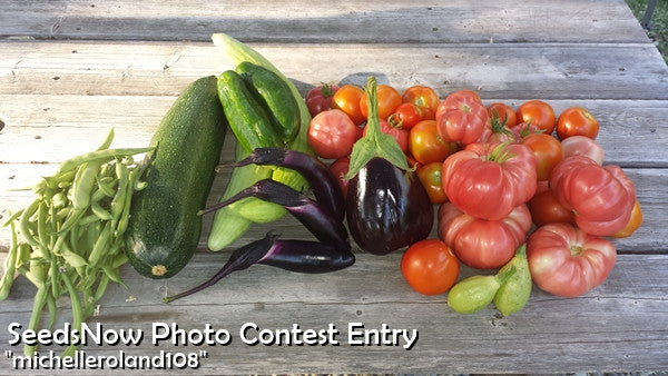 Freshly harvested Pink Brandywine tomatoes with assorted garden vegetables on wooden surface