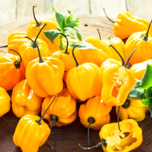 Pepper (Hot) - Habanero, Lemon ๐ฅ๐ฅ๐ฅ๐ฅ - SeedsNow.com