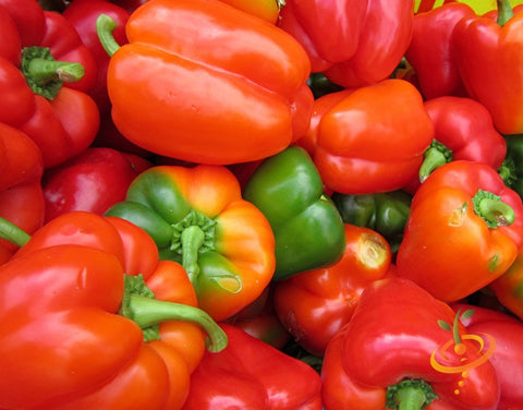 *FREE* California Wonder Bell Pepper Seed Kit