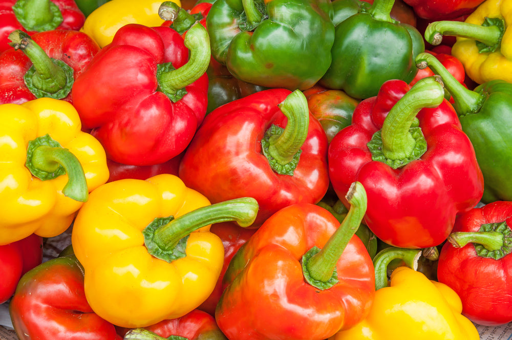 *FREE* California Wonder Bell Pepper Seed Kit