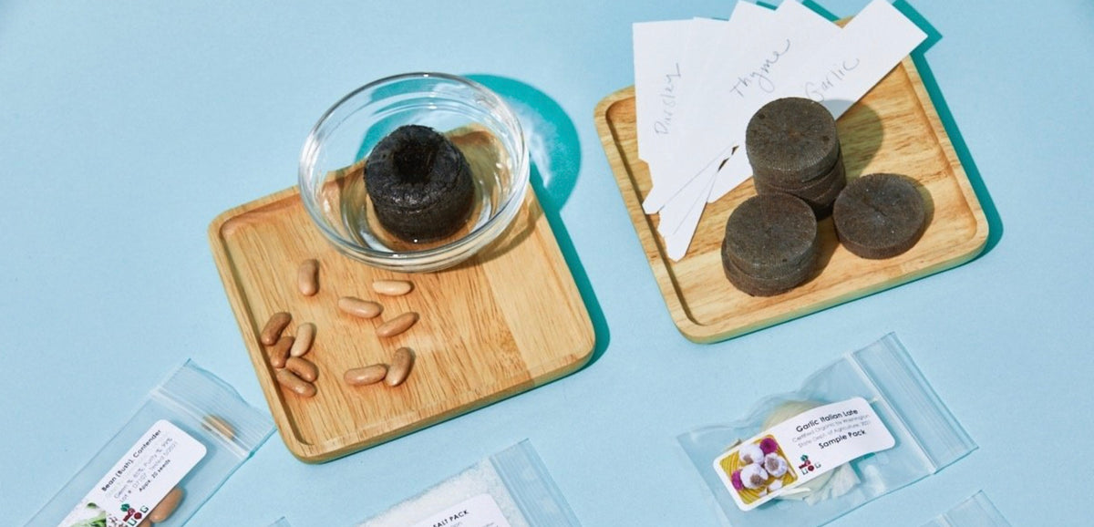 *NEW* Seeds-of-the-Month! | A Premium Monthly Seed Club Subscription