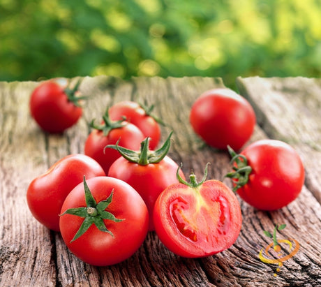 Bright image of Ace 55 determinate tomato seeds from SeedsNow, showing small seed packets with colorful label and branding.