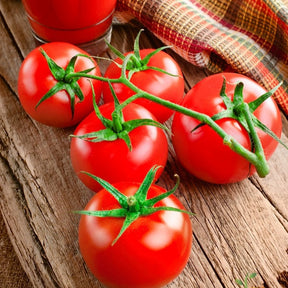 Bright red Bonny Best tomatoes on vine on rustic wooden surface with checkered cloth background