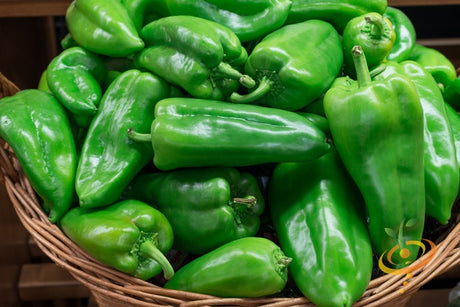Hot Ancho Grande pepper seeds from SeedsNow, showing vibrant pepper seeds in a clear container, ready for planting.