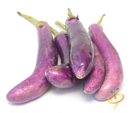 Long Ping Tung eggplant (aubergine) plant grown from SeedsNow seeds, showcasing ripe purple fruit on the plant.