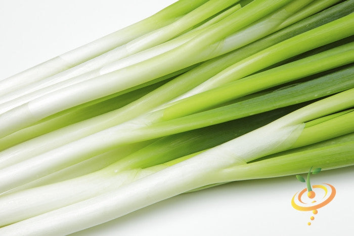 Onion - Tokyo Long White (Bunching).