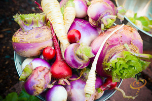 Turnip - Purple Top White Globe.