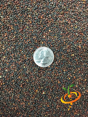 Collard - Georgia Southern.