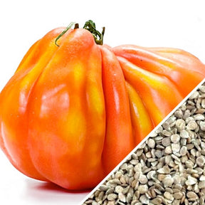 Indeterminate Pineapple Tomato seeds from SeedsNow, showing vibrant seed packets for growing pineapple-flavored tomatoes.