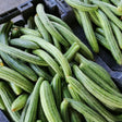 Armenian Long Green (Metki Serpent Melon) Cucumber seeds online in USA