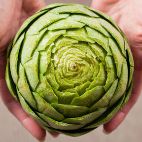 Green Globe artichoke seeds from SeedsNow, showing fresh seed packets with vibrant green artichoke illustrations.