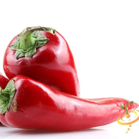 Thai hot pepper seeds from SeedsNow, small bright red pepper seeds with a glossy surface and vibrant color.