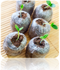 Free all-in-one seed starter kit with soil, ideal for gardening and planting indoors or outdoors.